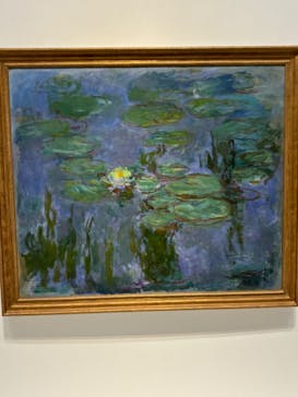 モネ 睡蓮のとき（国立西洋美術館）に投稿された画像（2024/10/24）