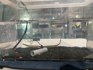 AOAO SAPPOROに投稿された画像（2024/10/24）