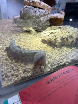 AOAO SAPPOROに投稿された画像（2024/10/24）