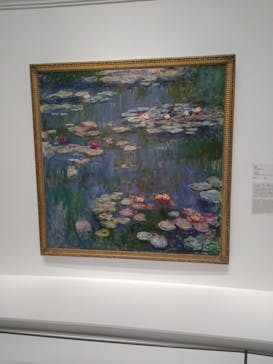 モネ 睡蓮のとき（国立西洋美術館）に投稿された画像（2024/10/24）