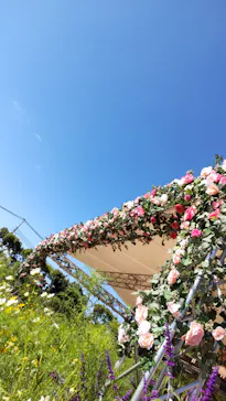 ひらかたパークに投稿された画像（2024/10/24）