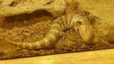 天王寺動物園に投稿された画像（2024/10/24）