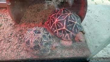 天王寺動物園に投稿された画像（2024/10/24）