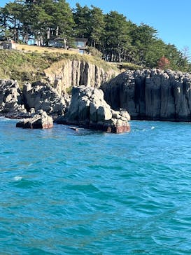 東尋坊観光遊覧船株式会社に投稿された画像（2024/10/24）