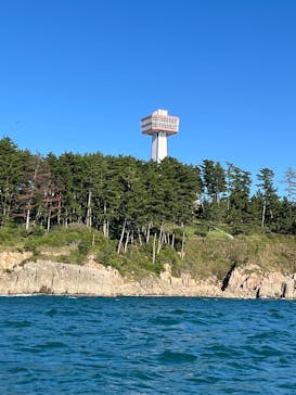 東尋坊観光遊覧船株式会社に投稿された画像（2024/10/24）