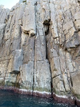 東尋坊観光遊覧船株式会社に投稿された画像（2024/10/24）