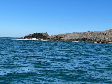 東尋坊観光遊覧船株式会社に投稿された画像（2024/10/24）