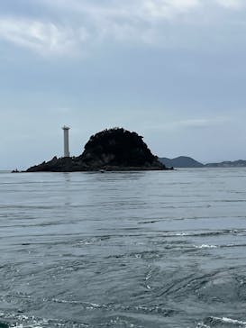 徳島県立 渦の道に投稿された画像（2024/10/24）