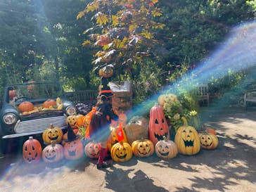 横浜イングリッシュガーデンに投稿された画像（2024/10/24）