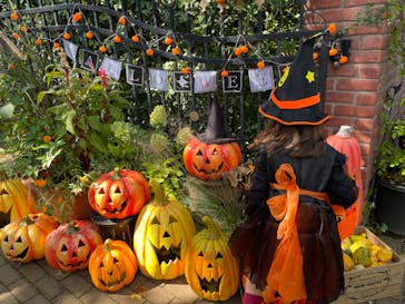 横浜イングリッシュガーデンに投稿された画像（2024/10/24）