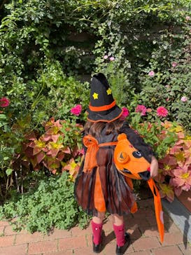 横浜イングリッシュガーデンに投稿された画像（2024/10/24）