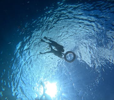 マリンクラブジジに投稿された画像（2024/10/19）