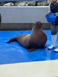 大分マリーンパレス水族館 「うみたまご」に投稿された画像（2024/10/24）