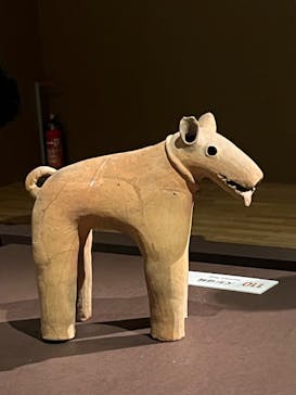 挂甲の武人 国宝指定50周年記念 特別展「はにわ」@東京国立博物館 平成館に投稿された画像（2024/10/24）