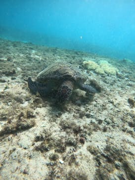 SEA FANに投稿された画像（2024/10/24）