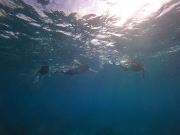 SEA FANに投稿された画像（2024/10/24）