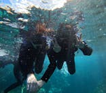 マリンクラブジジに投稿された画像（2024/10/24）