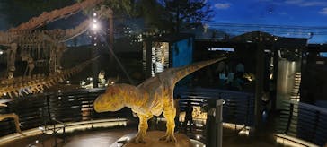 福井県立恐竜博物館に投稿された画像（2024/10/24）