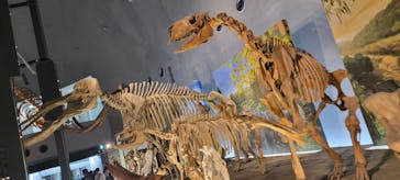 福井県立恐竜博物館に投稿された画像（2024/10/24）