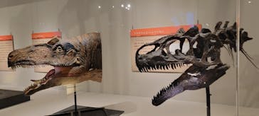 福井県立恐竜博物館に投稿された画像（2024/10/24）