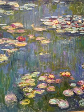モネ 睡蓮のとき（国立西洋美術館）に投稿された画像（2024/10/24）