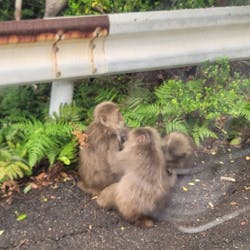 まつばんだ交通バス株式会社に投稿された画像（2024/10/24）