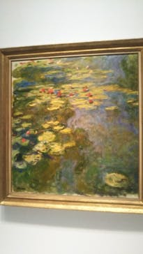 モネ 睡蓮のとき（国立西洋美術館）に投稿された画像（2024/10/24）