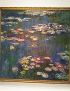 モネ 睡蓮のとき（国立西洋美術館）に投稿された画像（2024/10/24）