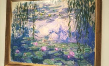 モネ 睡蓮のとき（国立西洋美術館）に投稿された画像（2024/10/24）