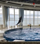 アクアワールド茨城県大洗水族館に投稿された画像（2024/10/24）