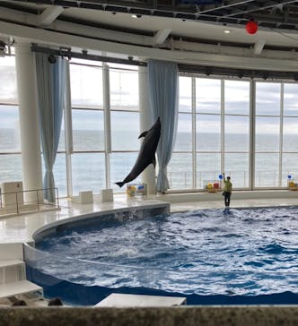 アクアワールド茨城県大洗水族館に投稿された画像（2024/10/24）