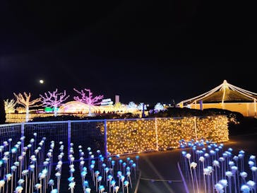 東京メガイルミに投稿された画像（2024/10/24）