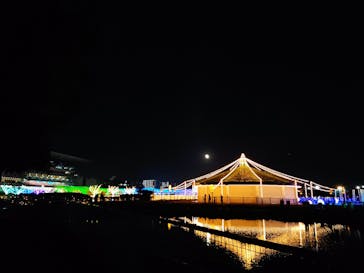 東京メガイルミに投稿された画像（2024/10/24）