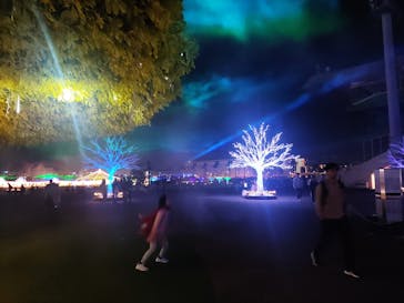 東京メガイルミに投稿された画像（2024/10/24）