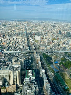 ハルカス300(展望台)に投稿された画像（2024/10/25）