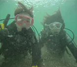 武藤潜水に投稿された画像（2024/10/25）