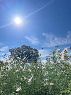 万博記念公園に投稿された画像（2024/10/25）