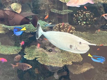 鴨川シーワールドに投稿された画像（2024/10/25）