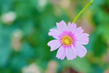 横浜イングリッシュガーデンに投稿された画像（2024/10/25）