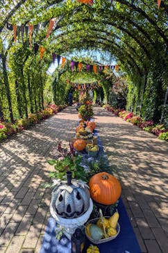 横浜イングリッシュガーデンに投稿された画像（2024/10/25）