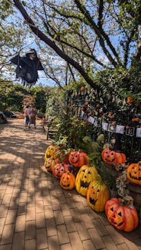 横浜イングリッシュガーデンに投稿された画像（2024/10/25）