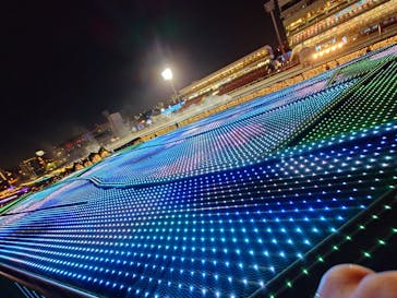 東京メガイルミに投稿された画像（2024/10/25）