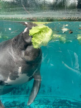 熱川バナナワニ園に投稿された画像（2024/10/25）