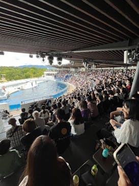 京都水族館に投稿された画像（2024/10/25）