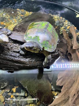 京都水族館に投稿された画像（2024/10/25）