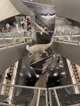 福井県立恐竜博物館に投稿された画像（2024/10/25）