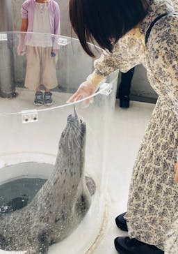 しながわ水族館に投稿された画像（2024/10/25）