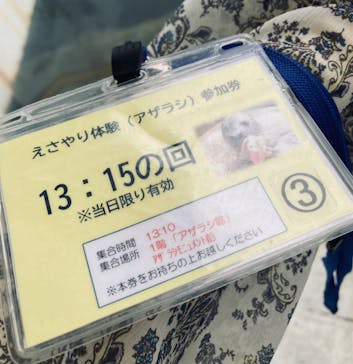 しながわ水族館に投稿された画像（2024/10/25）