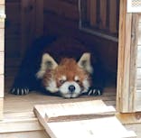 千葉市動物公園に投稿された画像（2024/10/25）