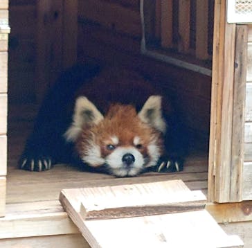 千葉市動物公園に投稿された画像（2024/10/25）
